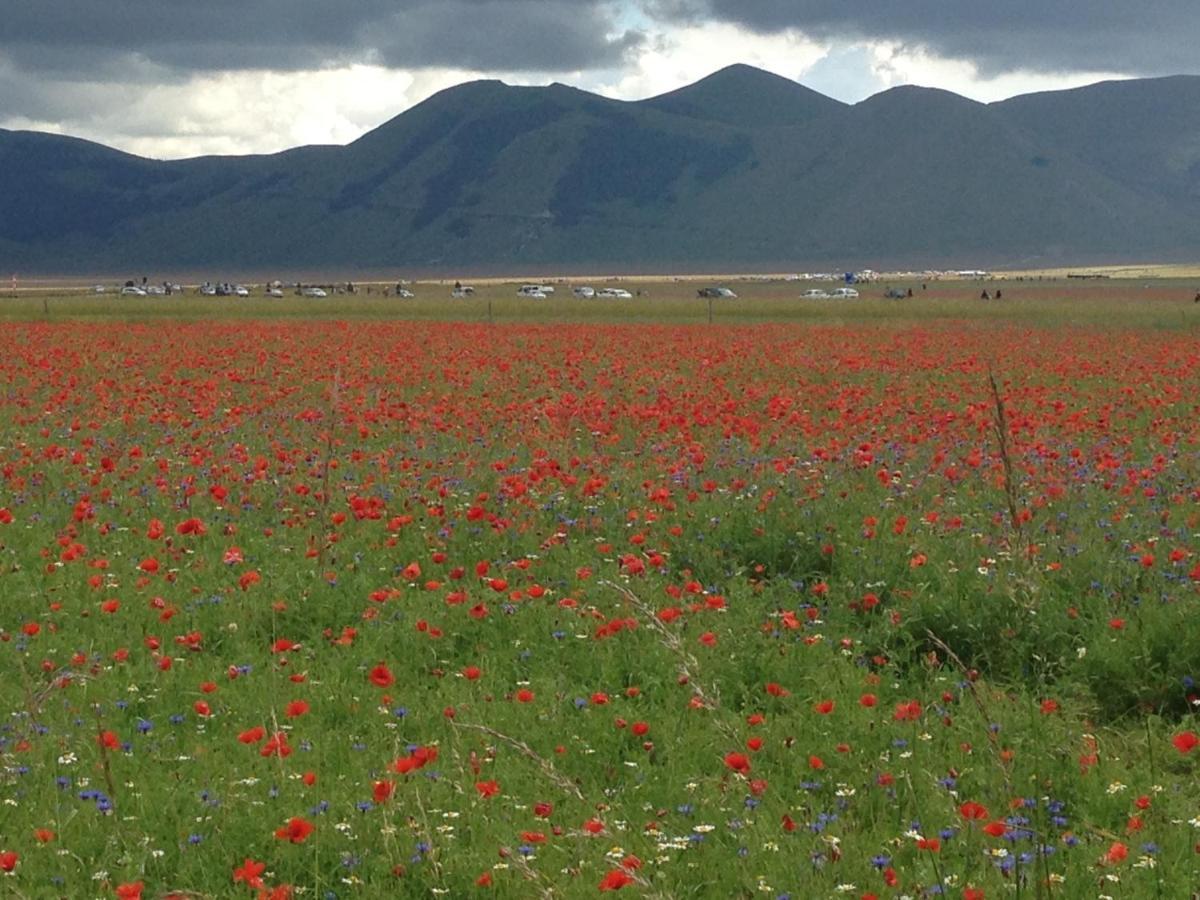 Villacolle Visso ภายนอก รูปภาพ